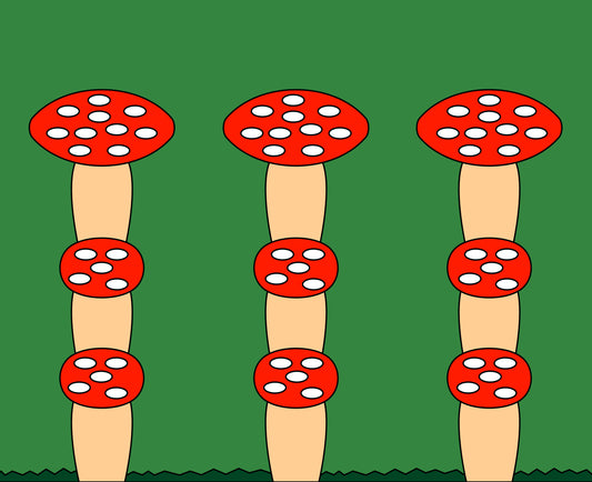 Amanita Muscaria Archival Matte Print